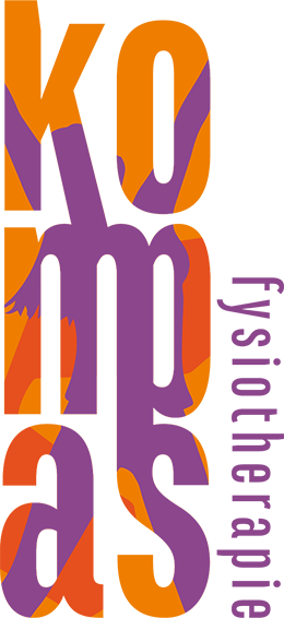 Logo van Fysiotherapie Kompas
